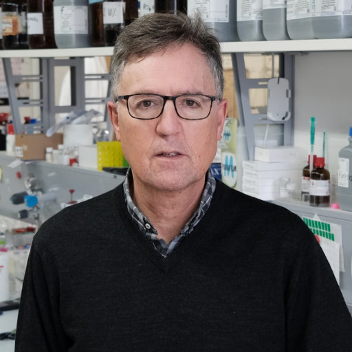 Jose Luis Mascareñas